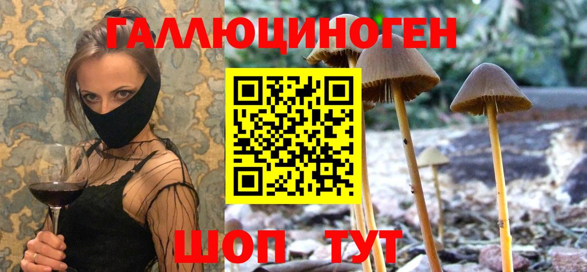 Можайск  Галлюциногенные грибы Cubensis  Вход с VPN 